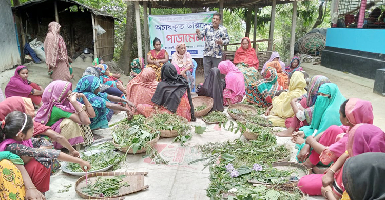 অচাষকৃত উদ্ভিদের ব্যতিক্রমী মেলা