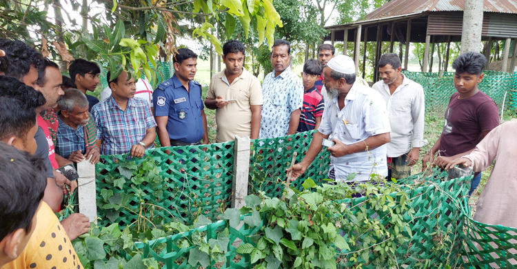 মানিকগঞ্জে কবরস্থান থেকে ৫ কঙ্কাল চুরি