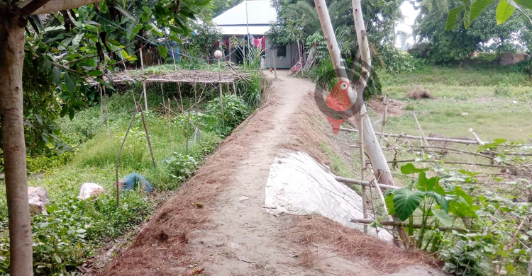 সরকারি প্রকল্পের শ্রমিক দিয়ে বিয়াই বাড়ির রাস্তা নির্মাণ!