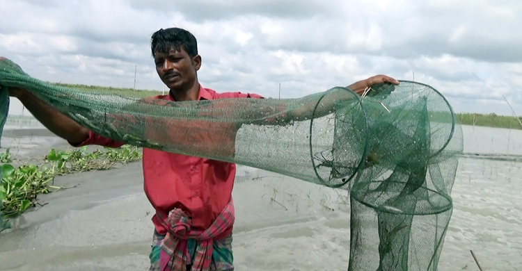 মানিকগঞ্জে মৎস্য সম্পদ হুমকিতে ফেলেছে ‘চায়না দুয়ারী’