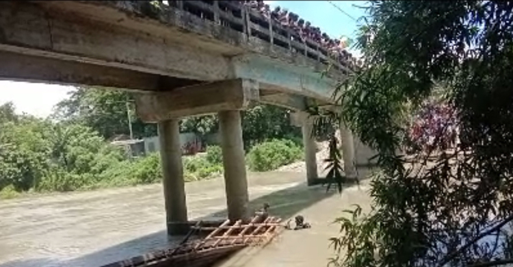 ধলেশ্বরীতে ট্রলার ডুবে মারা গেলো ৭ গরু