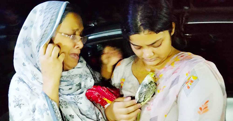 গাড়ির জানালা দিয়ে উড়ে গেল পোষা পাখি, ধরে দিল ফায়ার সার্ভিস