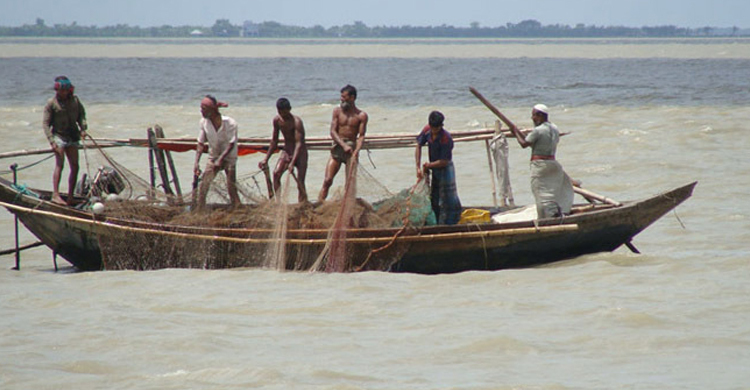 পদ্মায় ইলিশ ধরায় পাবনায় ১৬ জেলের কারাদণ্ড