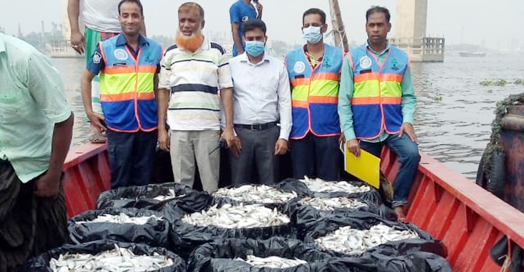 মুন্সিগঞ্জে ১৪৫ মণ জাটকাসহ ট্রলার জব্দ