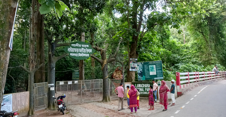 ঈদের ছুটিতেও পর্যটকের দেখা নেই মৌলভীবাজারে