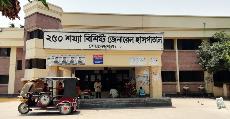চিকিৎসা নিয়ে ফেরার পথে প্রাণ গেল স্বামী-স্ত্রীর