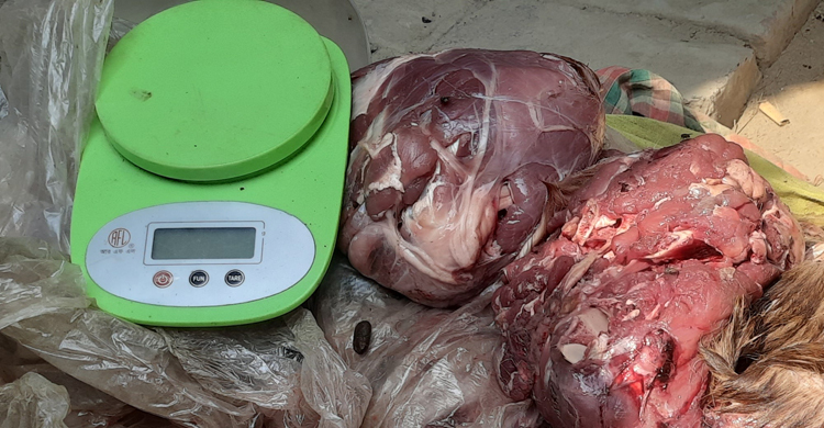 তাড়া খেয়ে হরিণের মাংস ফেলে পালালো পাচারকারীরা