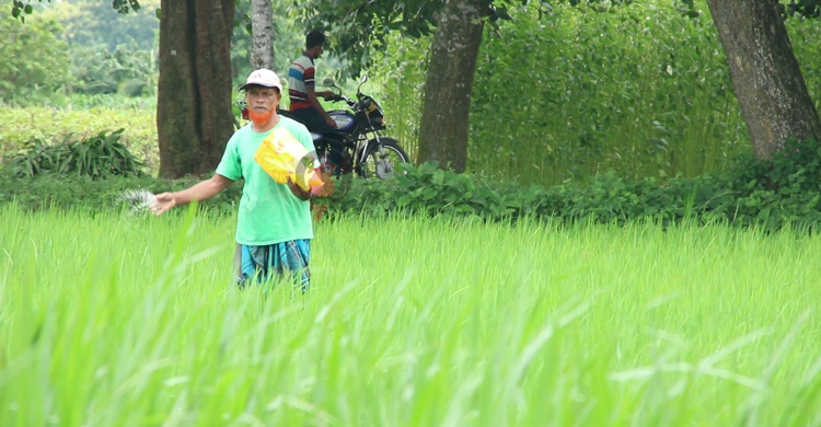 ৬-৭ ঘণ্টার লোডশেডিংয়ে বিপর্যস্ত মেহেরপুরের মানুষ