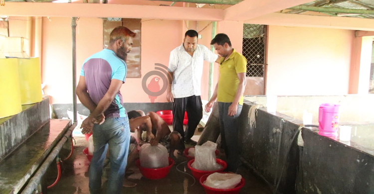 ৬-৭ ঘণ্টার লোডশেডিংয়ে বিপর্যস্ত মেহেরপুরের মানুষ