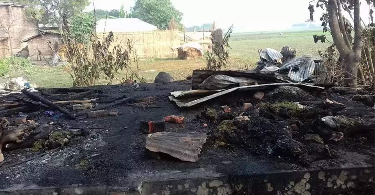 আগুনে পুড়ে ছাই ১০ ছাগল