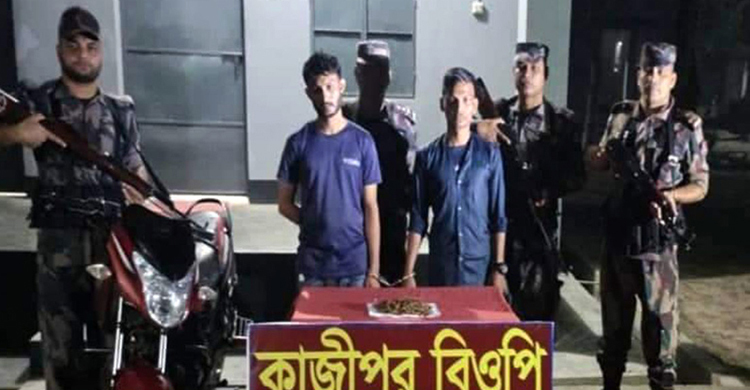 মেহেরপুরে গাঁজাসহ দুই মাদক কারবারি গ্রেফতার