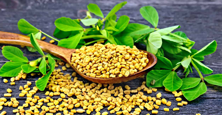 ভেজানো মেথি খেলে কী হয়?