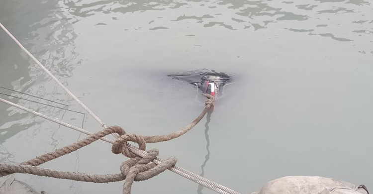 ফেরিতে উঠতে গিয়ে মাইক্রোবাস পদ্মায়