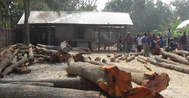 স’মিল বন্ধে ষড়যন্ত্রের অভিযোগ, ঋণের চিন্তায় মালিক-শ্রমিক