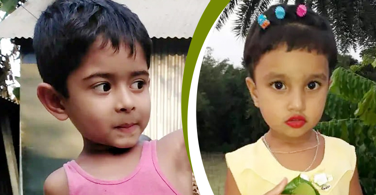 পুকুরে ডুবে ভাই-বোনের মৃত্যু, জাল ফেলে উদ্ধার