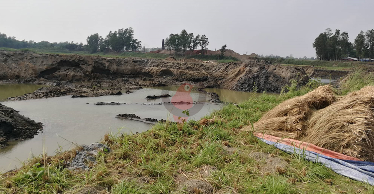রাতের আঁধারে ধানি জমির মাটি যাচ্ছে ইটভাটায়