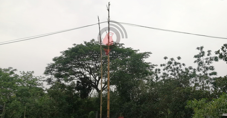 বাঁশনির্ভর বিদ্যুতের লাইন যেন মরণফাঁদ