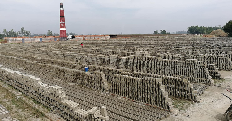 আবাসিক এলাকার সেই ভাটায় ফের পোড়ানো হচ্ছে ইট