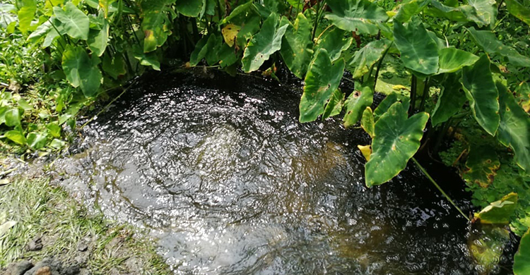 মির্জাপুরে পাইপ ফেটে বের হচ্ছে তিতাসের গ্যাস