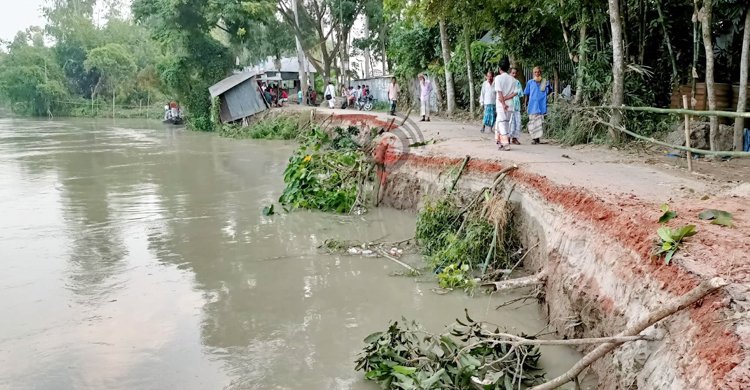 ভাঙনে বিলীনের পথে শতবর্ষী হাটের একমাত্র রাস্তা