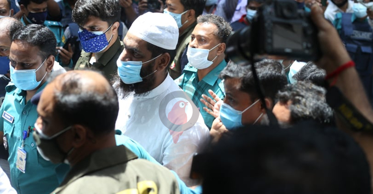 আদালত থেকে আবারও ডিবিতে মামুনুল