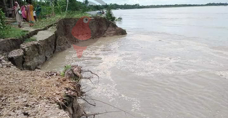 মধুমতির ভাঙনে শতাধিক ঘরবাড়ি ও ফসলি জমি বিলীন