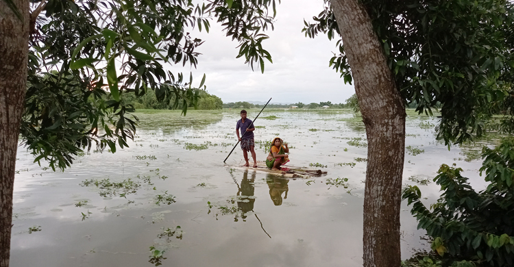 বন্যা: মৌলভীবাজারে পানিবাহিত রোগে আক্রান্ত ৭৩০