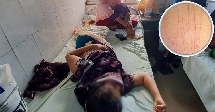 গৃহবধূর শ্লীলতাহানির অভিযোগ ৪ যুবকের বিরুদ্ধে