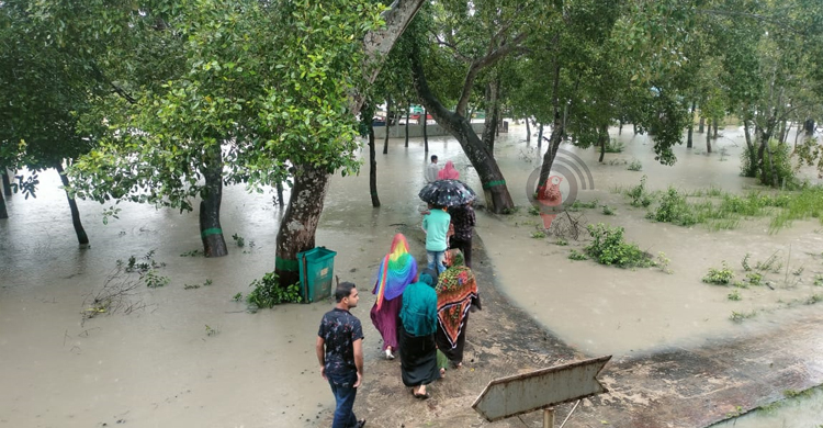 বৈরী আবহাওয়া উপেক্ষা করে সুন্দরবনে যাচ্ছেন পর্যটকরা