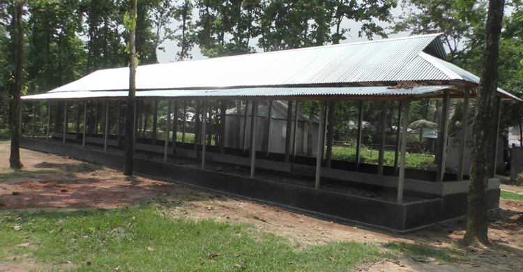 মধুপুর বনে তরুণের উদ্যোগে চলছে স্কুল, তৈরি করছে হাসপাতাল