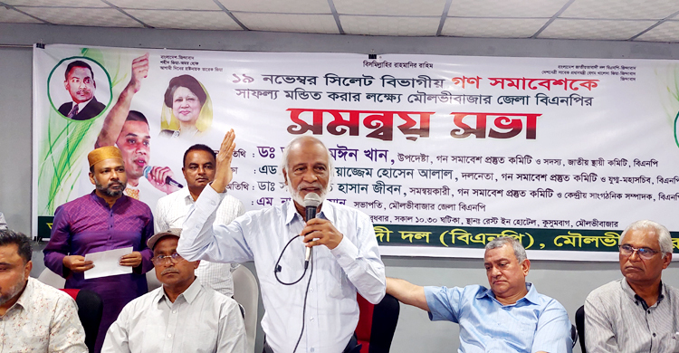 দেশে গণতন্ত্র-ভোটাধিকার নেই: মঈন খান