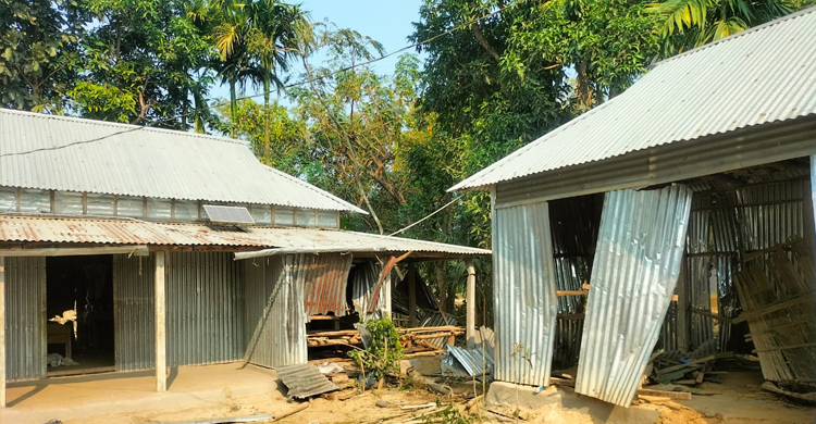 ময়মনসিংহে ৪০ ঘরবাড়িতে বন্য হাতির তাণ্ডব