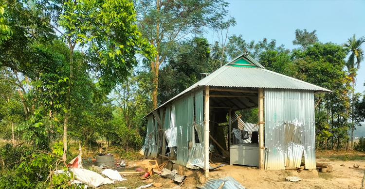 ময়মনসিংহে ৪০ ঘরবাড়িতে বন্যহাতির তাণ্ডব
