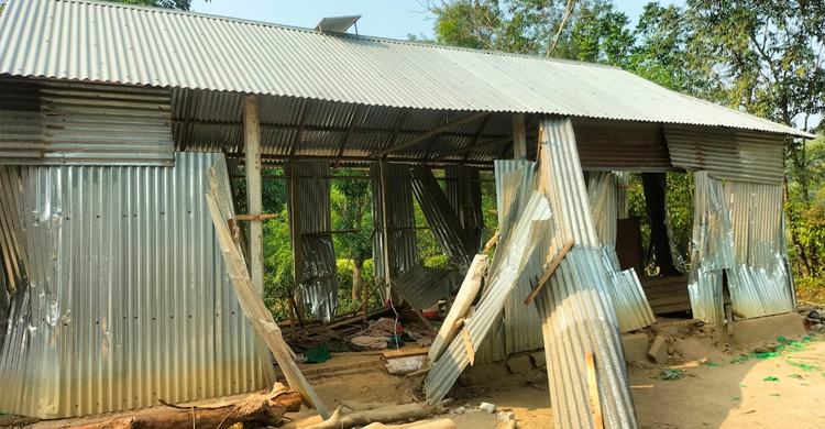 ময়মনসিংহে ৪০ ঘরবাড়িতে বন্য হাতির তাণ্ডব