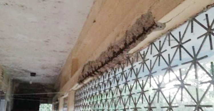 বন্দরের পরিত্যক্ত ভবনেই চলছে মোংলা পৌরসভার কার্যক্রম