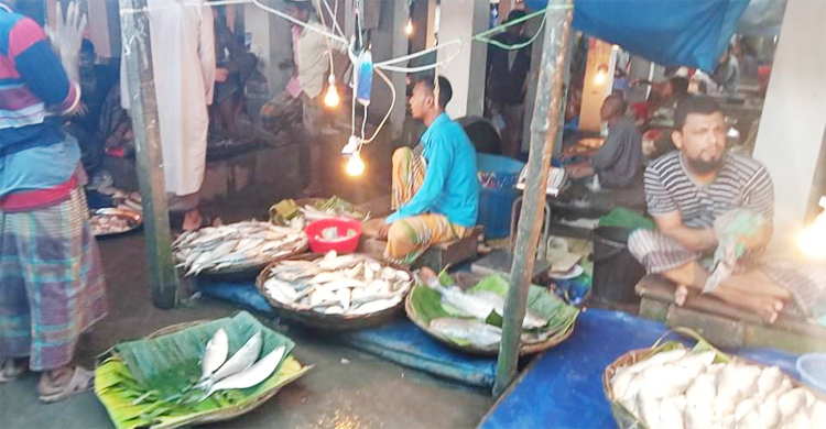 নিষেধাজ্ঞার আগের দিনে মোংলায় চড়া দামে বিক্রি হচ্ছে ইলিশ