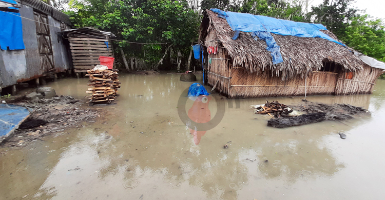 জলোচ্ছ্বাসে মোংলার নিম্নাঞ্চল প্লাবিত, তলিয়েছে সুন্দরবনও