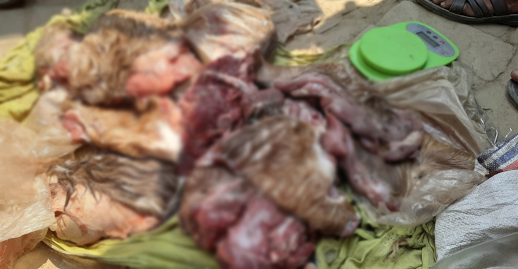 মোংলায় ১২ কেজি হরিণের মাংস জব্দ, দুই যুবক আটক