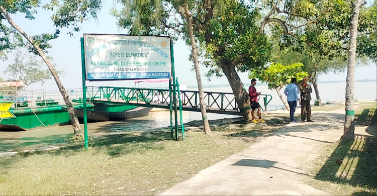 ছুটির দিনেও পর্যটকশূন্য সুন্দরবন!