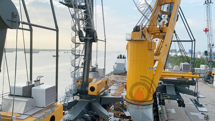 পদ্মা সেতু: ১২ ঘণ্টা সময় বাঁচবে মোংলার ব্যবসায়ীদের