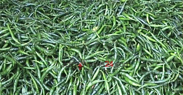 হিলিতে ২০ টাকা কেজি কাঁচামরিচ