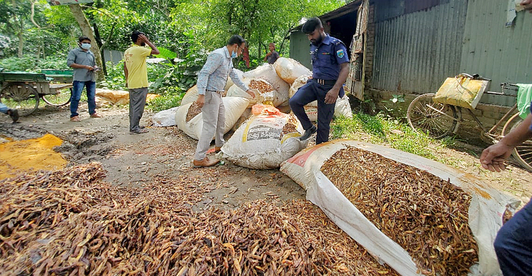 পচা মরিচে রঙের মিশ্রণ, মিলমালিককে জরিমানা