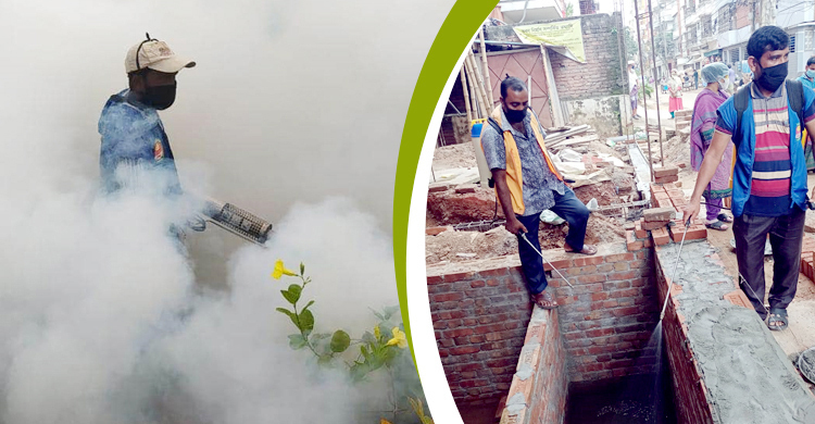 প্রতি বছরই বাড়ে বাজেট, মরে না মশা