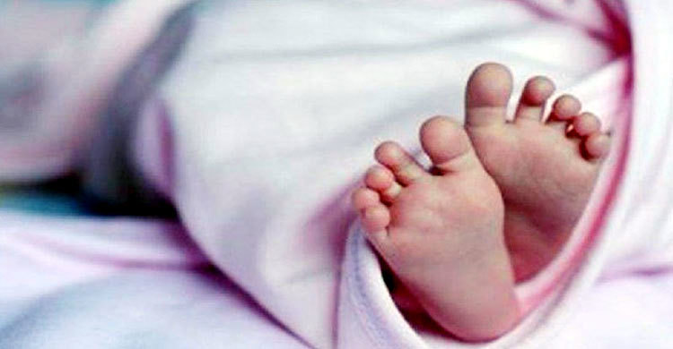 রাস্তার পাশ থেকে নবজাতকের লাশ উদ্ধার
