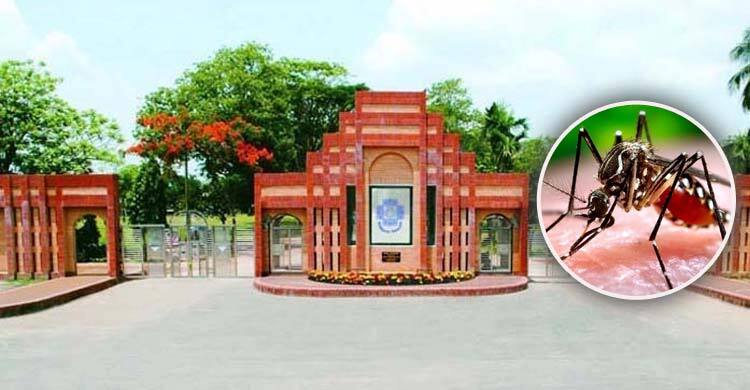 এডিস মশা নেই, তবু জাবিতে ডেঙ্গুর প্রাদুর্ভাব