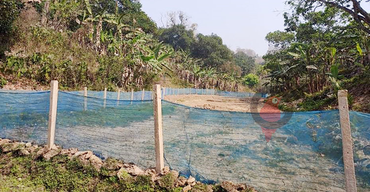 মৌলভীবাজারে বন দখল করে পুকুর খনন