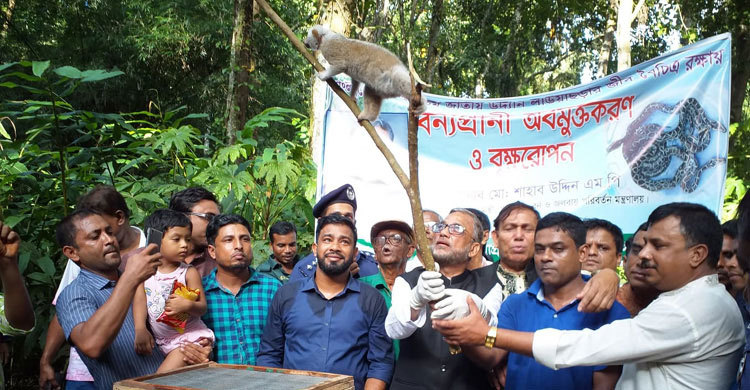 অপরিকল্পিত অবমুক্ত, বন্যপ্রাণির জন্য হুমকি