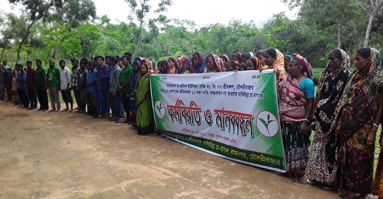 চা শ্রমিকদের ১২ দফা দাবি