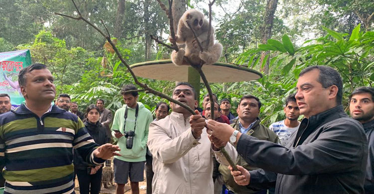 লাউয়াছড়ায় ১৩টি প্রাণী অবমুক্ত