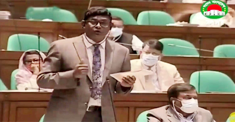 সংসদে শামীম হায়দার পাটোয়ারীর বক্তৃতা ভাইরাল